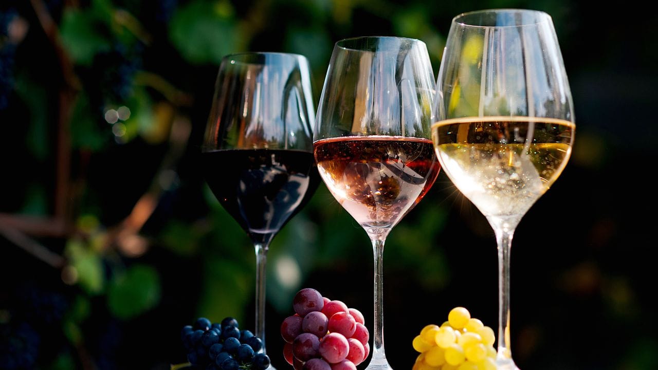 Wine With Dinner: ഹൃദയത്തിനും ദീർഘായുസ്സിനും മികച്ചത്?; അത്താഴത്തോടൊപ്പം ഒരു ഗ്ലാസ് വൈൻ കുടിച്ചാൽ