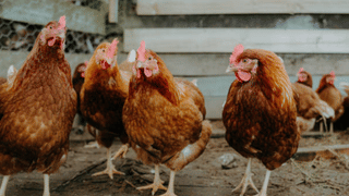 Kerala Weather Update: കുടയെടുത്തോ, മഴ തിരികെ വന്നിട്ടുണ്ടേ…തണുപ്പ് ഇനി എവിടെയെല്ലാം? കാലാവസ്ഥ ഇങ്ങനെ…