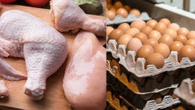 ക്രിസ്മസിന് ചെലവേറും; ഞെട്ടിച്ച് കോഴിയിറച്ചി, മുട്ട വില