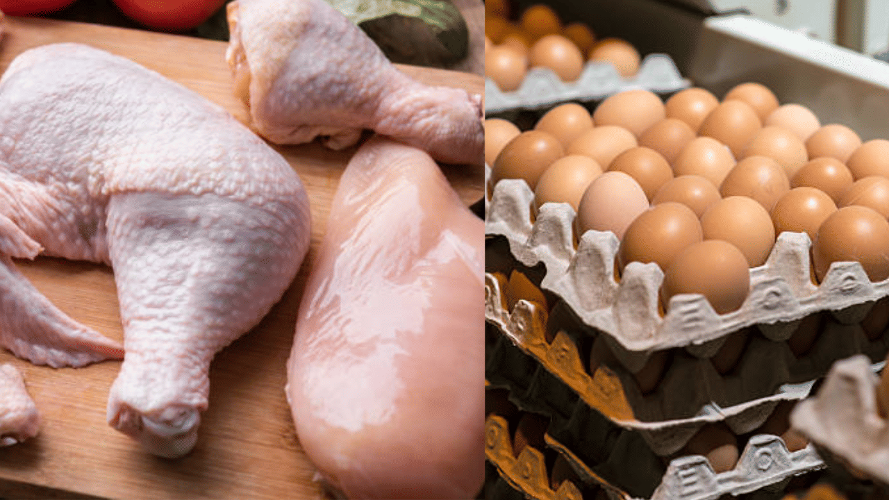 Price Hike: ക്രിസ്മസിന് ചെലവേറും; ഞെട്ടിച്ച് കോഴിയിറച്ചി, മുട്ട വില