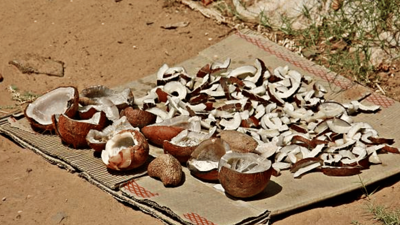 വെളിച്ചെണ്ണ വിലയോടൊപ്പം തേങ്ങ വിലയും കുറയുന്നുണ്ട്. ചില്ലറ വില 80 രൂപയ്ക്കു മുകളിൽ വരെയെത്തിയ തേങ്ങയ്ക്കിപ്പോൾ 53 - 60 രൂപയായിട്ടുണ്ട്. മൊത്തവിലയും കുറയുകയാണ്. കർഷകർ പൊതുവിപണിയിൽ വിൽക്കുന്ന തേങ്ങയ്ക്ക് മാസങ്ങൾക്ക് മുമ്പ് 60 - 65 രൂപയായിരുന്നു വിലയെങ്കിൽ ഇപ്പോഴത് അമ്പത് രൂപയിലേക്ക് താഴ്ന്നിട്ടുണ്ട്.