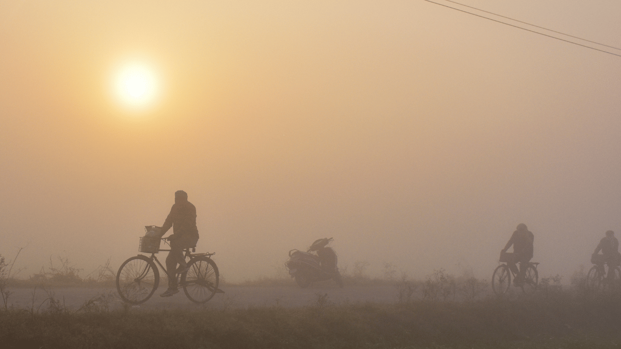 Kerala Weather Update: താപനില താഴേക്ക്, തണുത്തുവിറച്ച് കേരളം; മഴ ഉടനില്ല, ഇന്നത്തെ കാലാവസ്ഥ...