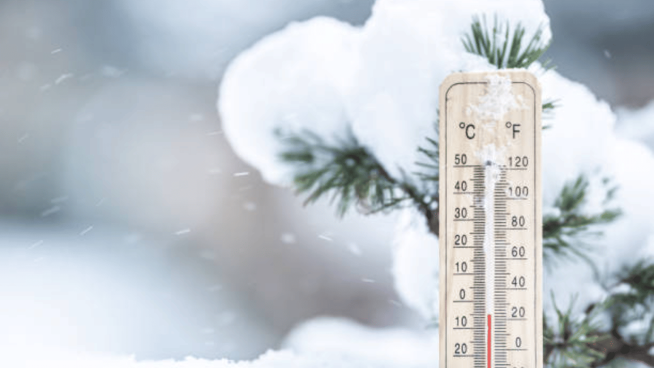 Kerala Weather Update: തണുത്തുറഞ്ഞ് കേരളം, ക്രിസ്മസ് തലേന്നും മഴയില്ല; ഇന്നത്തെ കാലാവസ്ഥ