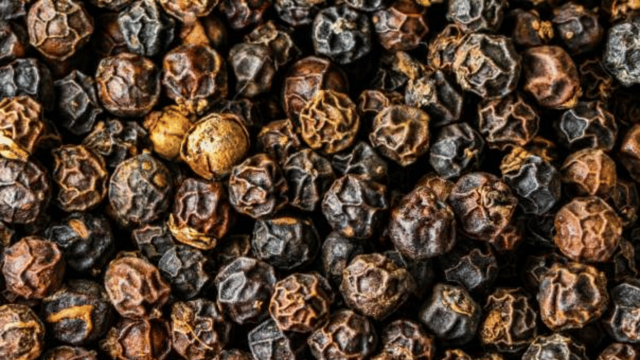 പല വ്യവസായികളും ഉൽപാദന കേന്ദ്രങ്ങളിൽ നേരിട്ട് ഇറങ്ങി മൂപ്പ് കുറഞ്ഞ പച്ച കുരുമുളക് സംഭരിക്കുന്നുണ്ട്. കൊച്ചിയിൽ അൺ ഗാർബിൾഡ് മുളക് വില കഴിഞ്ഞ ദിവസം രണ്ട് രൂപ വർധിച്ച് കിലോ 696 രൂപയായി. വിനിമയ വിപണിയിൽ മൂല്യം കൂടിയതോടെ രാജ്യാന്തര വിപണിയിൽ മലബാർ മുളക് വില ടണ്ണിന് 8225 ഡോളറായി.