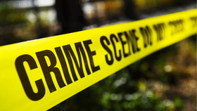 കൊല്ലത്ത് മുത്തശ്ശിയെ കൊച്ചുമകൻ കഴുത്തറുത്ത് കൊലപ്പെടുത്തി