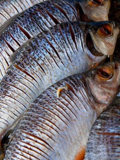 ഫ്രിഡ്ജിൽ ഇറച്ചിയോ മീനോ ഇരിപ്പുണ്ടോ? ഇതൊന്ന് അറിയണേ