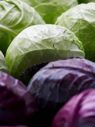 ക്യാബേജ് പ്രിയരാണോ നിങ്ങൾ? വാങ്ങുമ്പോൾ ഇതൊന്ന് ശ്രദ്ധിക്കണേ