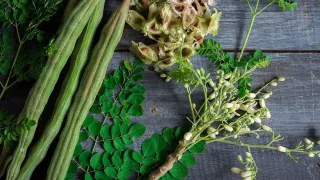 Moringa Leave: രോഗം വരില്ല, ദഹനത്തിനും ബെസ്റ്റ്; ഈ ഇല കഴിച്ചാൽ മതി!