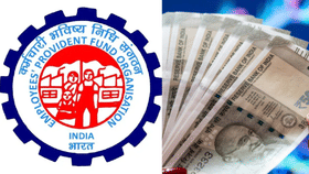 EPF Contributions: പിഎഫ് വിഹിതം അക്കൗണ്ടിൽ കാണിക്കുന്നില്ലേ? കാരണമിത്…...