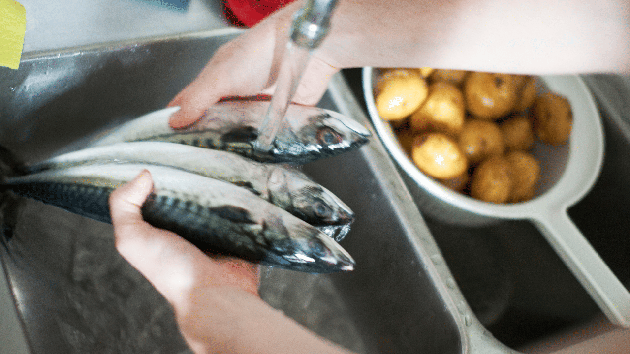 ചെടി പരിപാലനത്തിൽ വിവിധതരം പരീക്ഷണങ്ങൾ നടത്തുന്നവരാണ് മലയാളികൾ. വില കൊടുത്ത് വാങ്ങിയ വളം മുതൽ വീട്ടിലെ കഞ്ഞിവെള്ളവും പച്ചക്കറി തൊലികളും വരെ ചെടിവളരാനായി ഉപയോഗിക്കാറുണ്ട്. എന്നാൽ മീൻവെള്ളവും ചെടികൾക്ക് നല്ലതാണെന്ന് അറിയാമോ? ഇനി മുതൽ മീൻ കഴുകിയ വെള്ളം കളയേണ്ട, പകരം ഇങ്ങനെ ഉപയോഗിക്കാം....