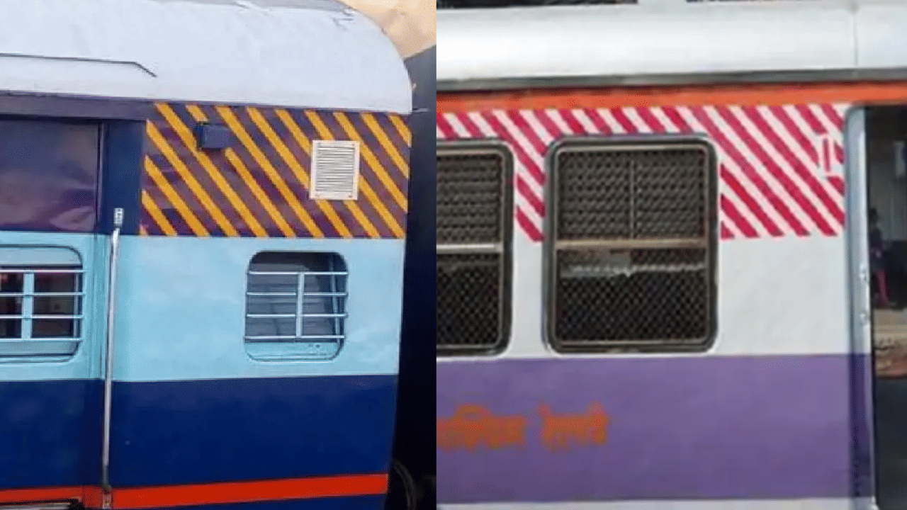 Railway Coaches: റെയിൽവേ കോച്ചുകളിലെ മഞ്ഞയും നീലയും വരകൾ എന്തിന്? വെറുമൊരു ഭംഗിക്കല്ല, കാരണം ഞെട്ടിക്കുന്നത്... Railway Coaches: റെയിൽവേ കോച്ചുകളിലെ മഞ്ഞയും നീലയും വരകൾ എന്തിന്? വെറുമൊരു ഭംഗിക്കല്ല, കാരണം ഞെട്ടിക്കുന്നത്...