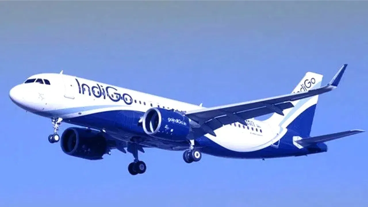 Indigo Flight