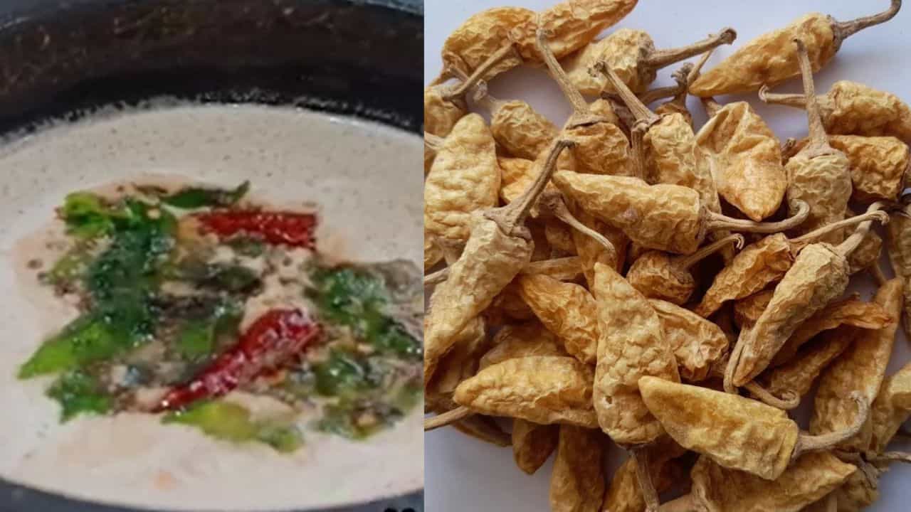 Kondattam Mulaku Curry: കൊണ്ടാട്ടം മുളകും തൈരും തേങ്ങയും മതി.... ഒരു നൊസ്റ്റാൾജിക് കറി ഉണ്ടാക്കാം