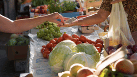 കേരളത്തിൽ സുലഭം, ലാഭം കൊയ്യുന്നത് തമിഴ്നാടും; നൂറ് രൂപ വരെ വില