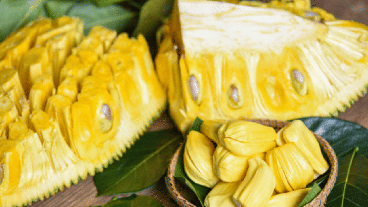 ചക്കക്കുരുവിന് 40- മുതല്‍ 60 വരെയാണ് കിലോയ്ക്ക് വില വരുന്നത്. തമിഴ്നാടിനെ കൂടാതെ, കർണാടക പോലുള്ള മറ്റ് സംസ്ഥാനങ്ങളിലും കേരള ചക്കയ്ക്ക് ഡിമാൻഡുണ്ട്. പച്ചചക്കയ്ക്കും ആവശ്യക്കാരേറയാണ്. അങ്ങനെ കേരളത്തിലെ ചക്ക അതിർത്തി കടന്ന് പണം കൊയ്യുകയാണ്. (Image Credit: Getty Images)