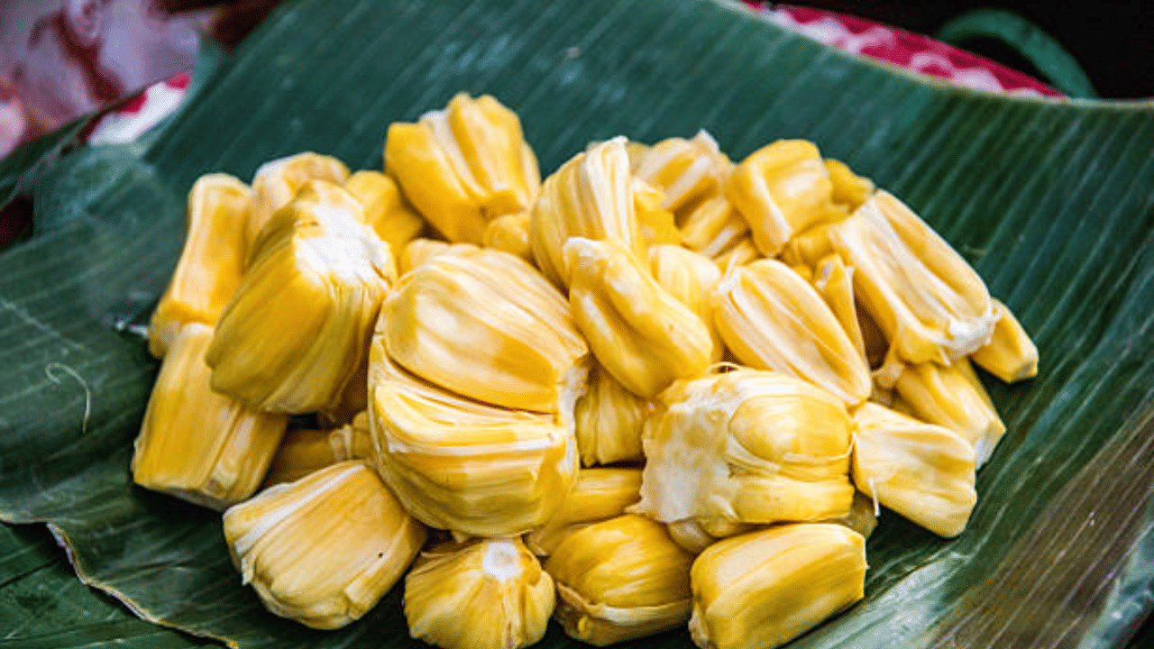 ചക്കയുടെ ഡിമാൻഡ് വർദ്ധിക്കുന്നതിനനുസരിച്ച് കർഷകർക്കും ലാഭം കിട്ടുന്നുണ്ട്. 50 മുതല്‍ 100 വരെയാണ് ഒരു ഇടിയന്‍ ചക്കയുടെ വില വരുന്നതെന്ന് കർഷകർ പറയുന്നു. വിളവ് കുറഞ്ഞതും ചെറുകിട കച്ചവടക്കാരുടെ വര്‍ദ്ധനവും ചക്കയുടെ ഡിമാന്റ് വര്‍ദ്ധിക്കാൻ കാരണമായി. (Image Credit: Getty Images)
