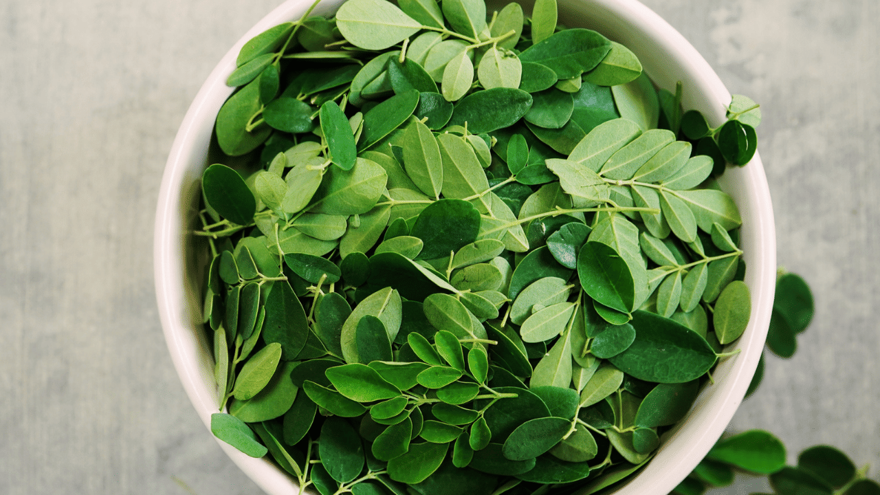 Moringa Leave: രോഗം വരില്ല, ദഹനത്തിനും ബെസ്റ്റ്; ഈ ഇല കഴിച്ചാൽ മതി!