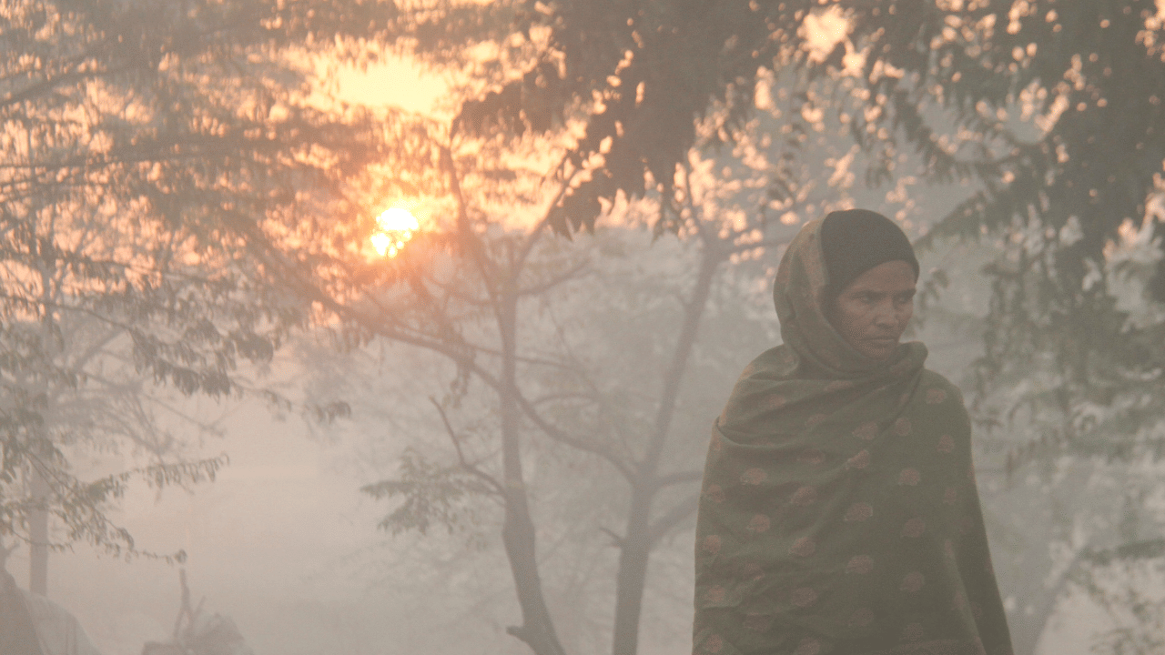 Kerala Weather Update: കൊടുംതണുപ്പിൽ കേരളം, ബൈ ബൈ പറഞ്ഞ് മഴയും; ഇന്നത്തെ കാലാവസ്ഥ ഇങ്ങനെ...