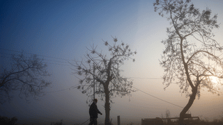 Walayar Lynching: വാളയാർ ആൾക്കൂട്ട കൊലപാതകം; മന്ത്രിയുമായി ചർച്ച ഇന്ന്