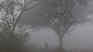 Kochi: മെട്രോ നിർമ്മാണത്തിനിടെ പൈപ്പ് പൊട്ടി; കൊച്ചിയിൽ ഇന്ന്‌ കുടിവെള്ളം മുടങ്ങും