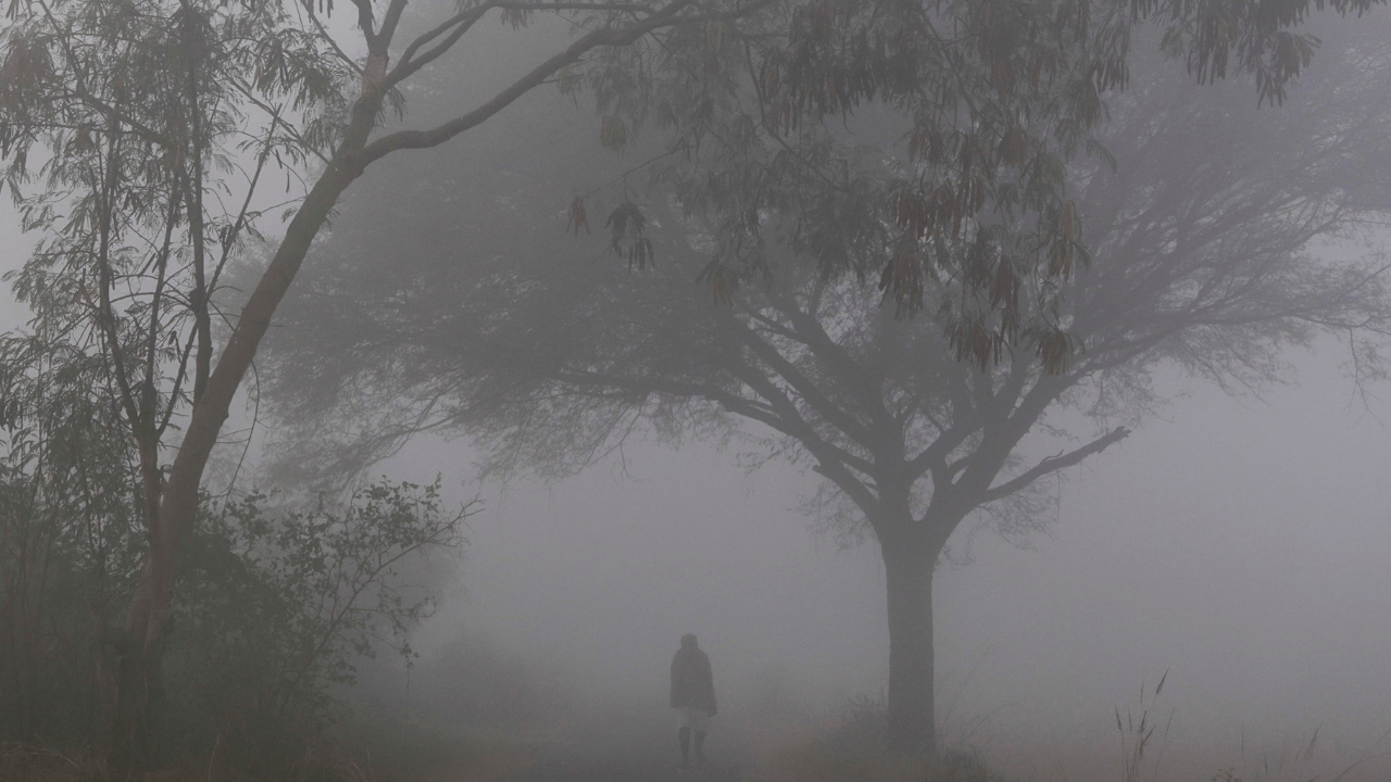 Kerala Weather Update: മഴ മാറിയില്ലേ? തണുത്ത് വിറച്ച് മലയോര ജില്ലകൾ; ഇന്നത്തെ കാലാവസ്ഥ ഇങ്ങനെ...