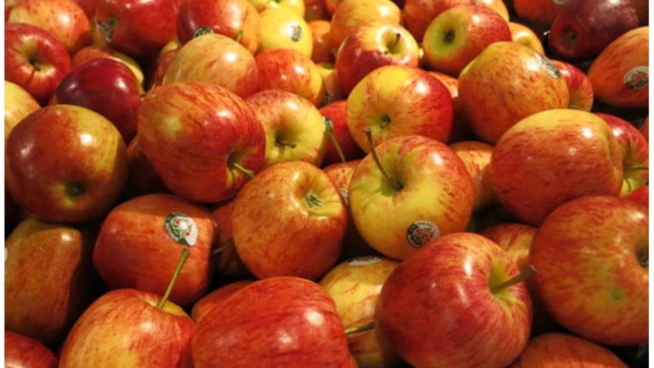 ആപ്പിൾ: ദൈവത്തിന് ആപ്പിൾ സമർപ്പിക്കുന്നത് ശരീരത്തിലെ രോഗങ്ങൾ സുഖപ്പെടുത്തുന്നതിലൂടെ ആരോഗ്യം മെച്ചപ്പെടുത്തുവാൻ സ​​ഹായിക്കുമെന്നാണ് വിശ്വാസം. കൂടാതെ ജീവിതത്തിലെ ദാരിദ്ര്യം ഇല്ലാതാക്കാനും ഇത് സഹായിക്കുന്നു. കുടിശ്ശികയുള്ള കടങ്ങൾ തിരിച്ചുപിടിക്കാനും ഇത് സഹായിക്കുന്നു.(PHOTO: TV9)