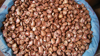 EVA Pavithran: അറിയുമോ ഈ മലയാള സംവിധായകന്റെ പുത്രിയെ? സൂപ്പർഹിറ്റ് നായകന്മാർക്കൊപ്പം അരങ്ങേറ്റം