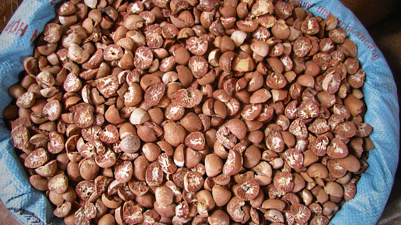 വിപണിയിൽ വില 495 - 510 രൂപയിലെത്തി. കഴിഞ്ഞ സീസണിൽ കിലോയ്ക്ക് 450 രൂപ വരെ ഉയർന്ന വില പിന്നീട് കൂപ്പുകുത്തുകയായിരുന്നു. നിലനിൽ മേൽത്തരം പഴയ കൊട്ടടയ്ക്കയ്ക്ക് കിലോയ്ക്ക് നൂറ് രൂപ വരെ കൂടിയിട്ടുണ്ട്.  പുതിയ അടയ്ക്കയുടെ വില ക്വിന്റലിന് 40,000- 50,000 വരെയാണ്. കിലോയ്ക്ക് 400 രൂപവരെ കർഷകർക്ക് ലഭിക്കുന്നു.
