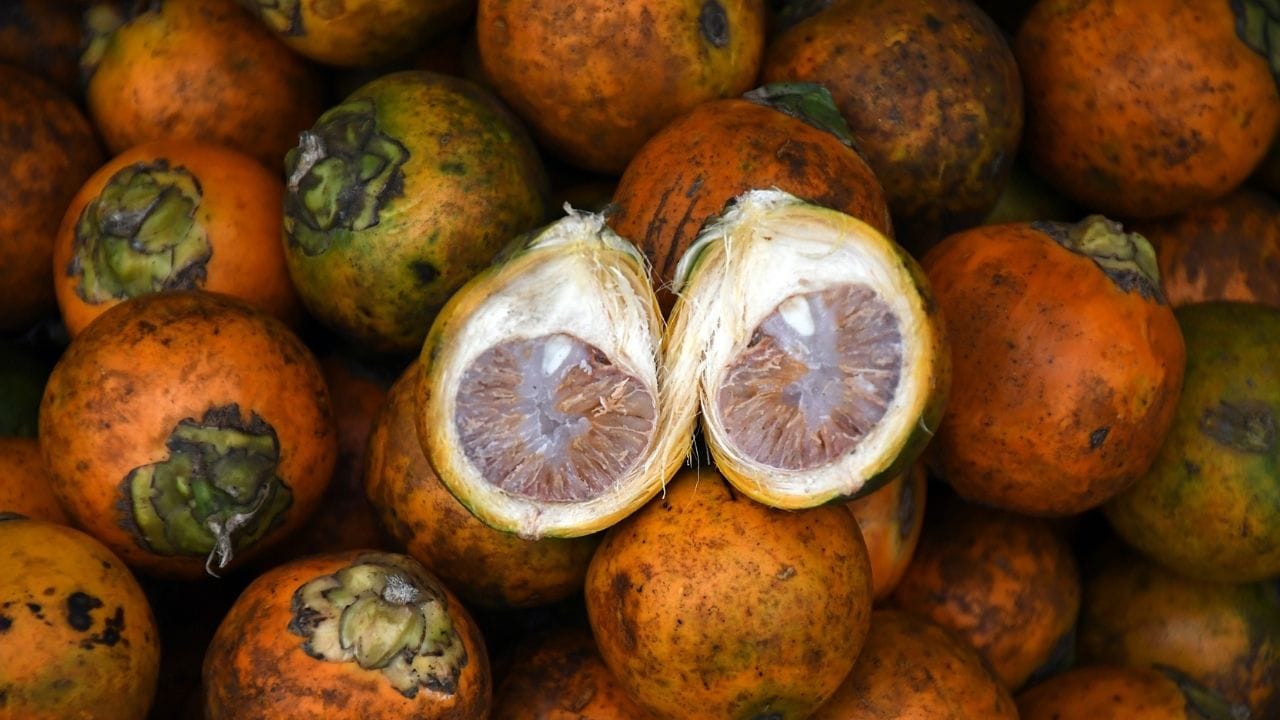 2026ന്റെ തുടക്കത്തില്‍ 380 മുതല്‍ 400 രൂപ വരെയായിരുന്നു പുതിയ അടയ്ക്കയുടെ വില. എന്നാല്‍ മാസം അവസാനിക്കാറായപ്പോഴേക്ക് അടയ്ക്ക വില 400 നും മുകളിലേക്ക് കുതിച്ചു. ഉയര്‍ന്ന ഇനം പുതിയ അടയ്ക്കകള്‍ക്ക് 450 രൂപയ്ക്ക് മുകളിലും വിലയുണ്ട്. 

