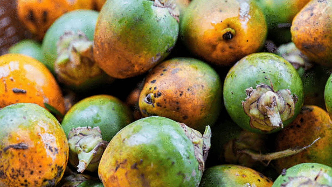 Areca nut Price: കവുങ്ങ് കർഷകർക്ക് ആശ്വാസം, കുതിച്ചുയർന്ന് അടയ്ക്ക വില, വിറ്റാൽ കിട്ടും... Areca nut Price: കവുങ്ങ് കർഷകർക്ക് ആശ്വാസം, കുതിച്ചുയർന്ന് അടയ്ക്ക വില, വിറ്റാൽ കിട്ടും...