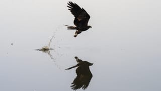 Crime News: ഭർത്താവുമായി വഴക്ക്; പത്ത് മാസം പ്രായമുള്ള കുഞ്ഞിന് വിഷം കൊടുത്ത് കൊന്ന് അമ്മ ജീവനൊടുക്കി