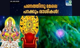 പണത്തിനു മേലെ പറക്കും രാശികൾ! ബുധാദിത്യ യോഗത്തിന്റെ ശുഭകരസംയോജനം