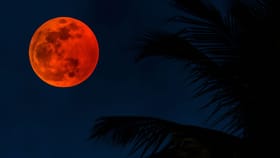 2026ലെ ആദ്യ ചന്ദ്രഗ്രഹണം ഇന്ത്യയിൽ ദൃശ്യമാകുമോ?: എവിടെ കാണാം