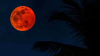 Chandra Grahan 2026: 2026ലെ ആദ്യ ചന്ദ്രഗ്രഹണം ഇന്ത്യയിൽ ദൃശ്യമാകുമോ?: എവിടെ എപ്പോൾ എങ്ങനെ കാണാം