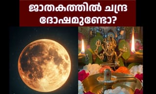 Sabarimala Adiya Shistam Ghee: ശബരിമലയിലെ വിശിഷ്ടമായ അടിയ ശിഷ്ടം നെയ്യ്! ​ഗുണങ്ങൾ, ഉപയോ​ഗം, പ്രാധാന്യം അറിയാം