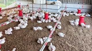 Viral Video: വാതിലടയ്ക്കുന്നതിന് മുന്‍പ് പുറത്ത് ഇറങ്ങിക്കോ’; വന്ദേഭാരതില്‍ ടിക്കറ്റെടുക്കാതെ യാത്രക്കാര്‍; വീഡിയോ വൈറൽ