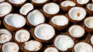 Coconut Oil Price: തേങ്ങയും വെളിച്ചെണ്ണയും വേറെ ലെവലില്‍; വില താങ്ങാനാകുമോ?