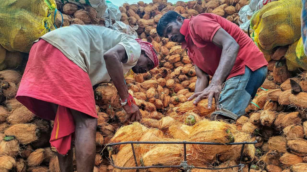 Coconut Oil Price: തേങ്ങവില കൂപ്പുകുത്തി, വെളിച്ചെണ്ണ വില 100 ന് താഴേക്ക്?