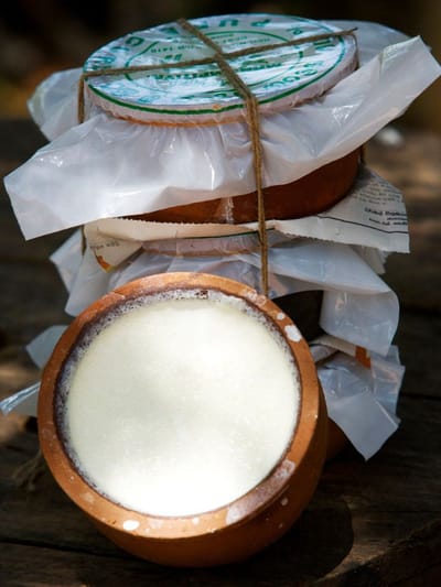 രാത്രിയില്‍ തൈര് കഴിക്കുന്നത് അപകടമാണോ?