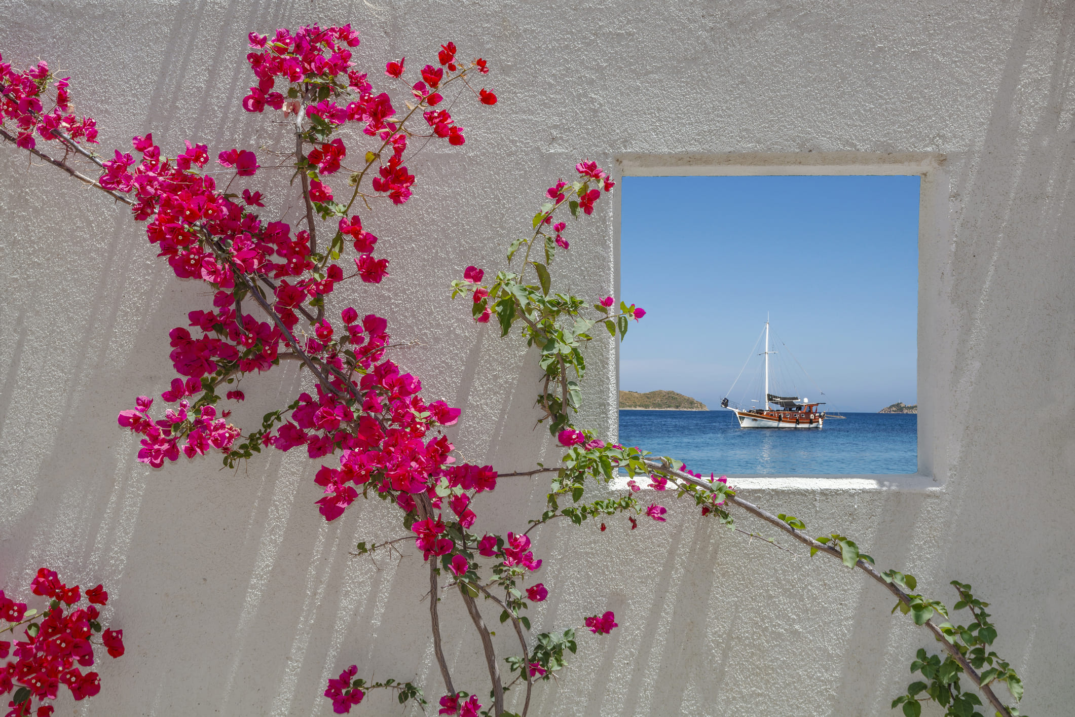 ബൊഗൈൻവില്ല പൂക്കൾ: 5-6 എണ്ണം (കടും നിറത്തിലുള്ള പൂക്കൾ കൂടുതൽ നല്ലതാണ്), വെള്ളം: 2 കപ്പ്, തേൻ അല്ലെങ്കിൽ ശർക്കര: മധുരത്തിന് ആവശ്യമെങ്കിൽ, നാരങ്ങാനീര് അല്ലെങ്കിൽ കറുവപ്പട്ട: കുറച്ച് മാത്രം രുചിക്ക്, ഇഞ്ചി/പുതിന: വേണമെന്നുണ്ടെങ്കിൽ മാത്രം ചേർക്കുക. ഇത്രയുമാണ് ചായ തയ്യാറാക്കാൻ ആവശ്യമായ ചേരുവകൾ.  
