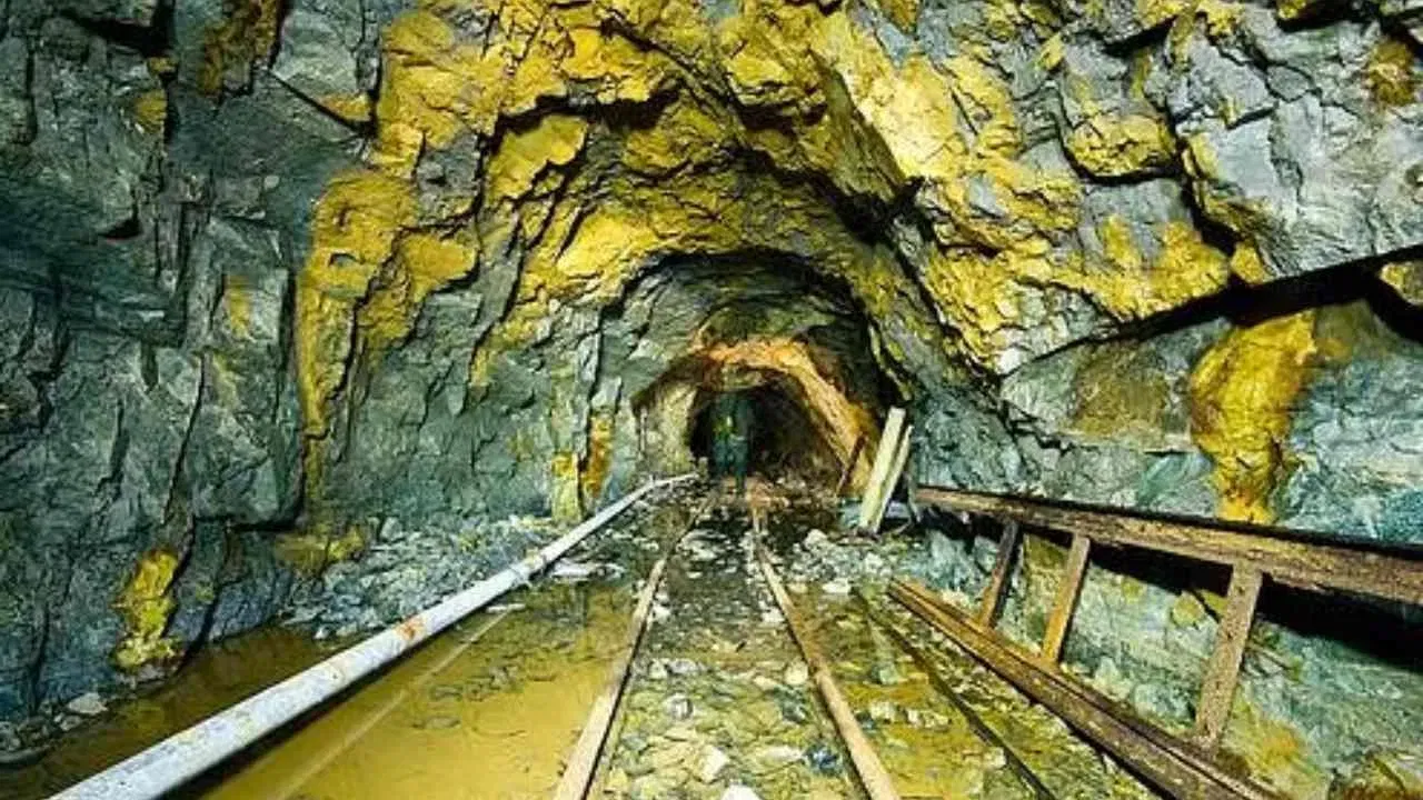  തീരദേശത്തെ സ്വർണ നിക്ഷേപം: ചവറ, ആലപ്പുഴ മേഖലകളിലെ തീരമണലിലും സ്വർണത്തിന്റെ അംശങ്ങൾ കണ്ടെത്തിയിട്ടുണ്ട്. ഇൽമെനൈറ്റ്, മോണോസൈറ്റ് തുടങ്ങിയ ധാതുക്കൾക്കൊപ്പമാണ് ഇവ കാണപ്പെടുന്നത്. അളവ് തീരെ കുറവായതിനാൽ ഖനനത്തിന് ഇവ ഉപയോഗപ്പെടുത്താറില്ല.