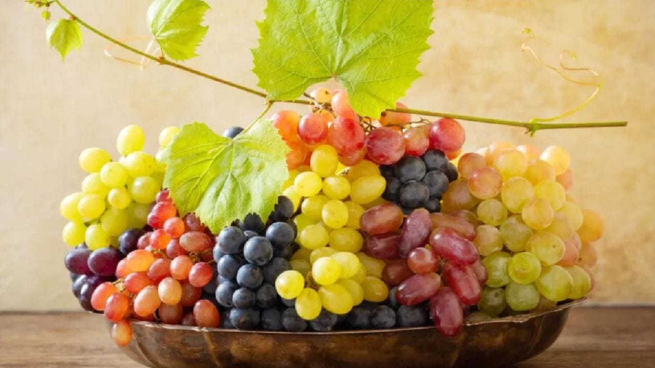 
മുന്തിരി: നമ്മുടെ ഇഷ്ട ദേവനോ ദേവതയ്ക്കോ മുന്തിരി, ഉണക്ക മുന്തിരി, കറുത്ത മുന്തിരി എന്നിങ്ങനെ ഏത് തരത്തിലുള്ള മുന്തിരിയും സമർപ്പിക്കുന്നത് സന്തോഷം, സന്തോഷം, സമാധാനം, മാനസിക സംതൃപ്തി എന്നിവ നൽകുന്നു. മനസ്സിൽ നല്ല ചിന്തകൾ ഉദിക്കുന്നു.(PHOTO: TV9)