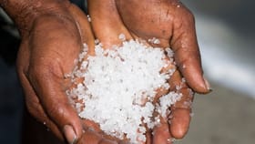 ഉപ്പ് എല്ലാവർക്കും വില്ലനല്ല; ശരിക്കും ആരെല്ലാം ഒഴിവാക്കണം