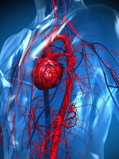 ഹൃദയത്തെ കാക്കാം; ഈ അഞ്ച് ലളിതമായ കാര്യങ്ങളിലൂടെ