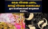 കൈ നിറയെ പണം, മനസ്സ് നിറയെ സന്തോഷം! സൗഭാ​ഗ്യ യോ​ഗത്തിന്റെ ശുഭസം.....