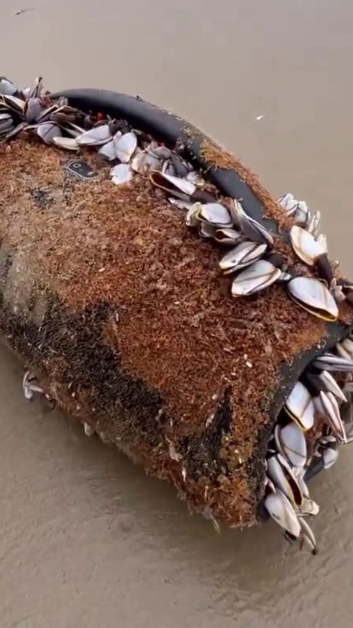 കടലിൽ ഒഴുകി നടന്ന ബ്ലൂടൂത്ത് സ്പീക്കർ, പിന്നെയും പ്രവർത്തിച്ചു