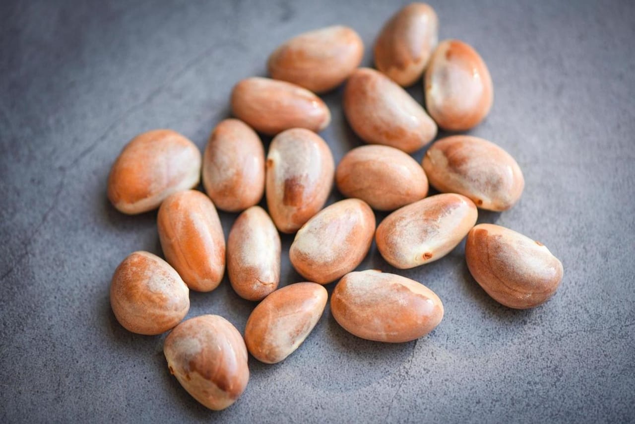 ഇനി ചക്കയുടെ കാലമാണ്. ഇതോടെ നാട്ടിൻപുറങ്ങളിലെ മിക്ക വീടുകളിലും ചക്ക കൊണ്ടുള്ള വിഭവങ്ങളായിരിക്കും കൂടുതലും. ഇതിൽ പ്രധാനം ചക്കക്കുരു കൊണ്ടുള്ള കറികളായിരിക്കും. ചക്കക്കുരു- മാങ്ങാ കറി, പാവയ്ക്ക-ചക്കക്കുരു തുടങ്ങി വിവിധ കറികളാണ് തയ്യാറാക്കുക. (Image Credits: Pinterest)
