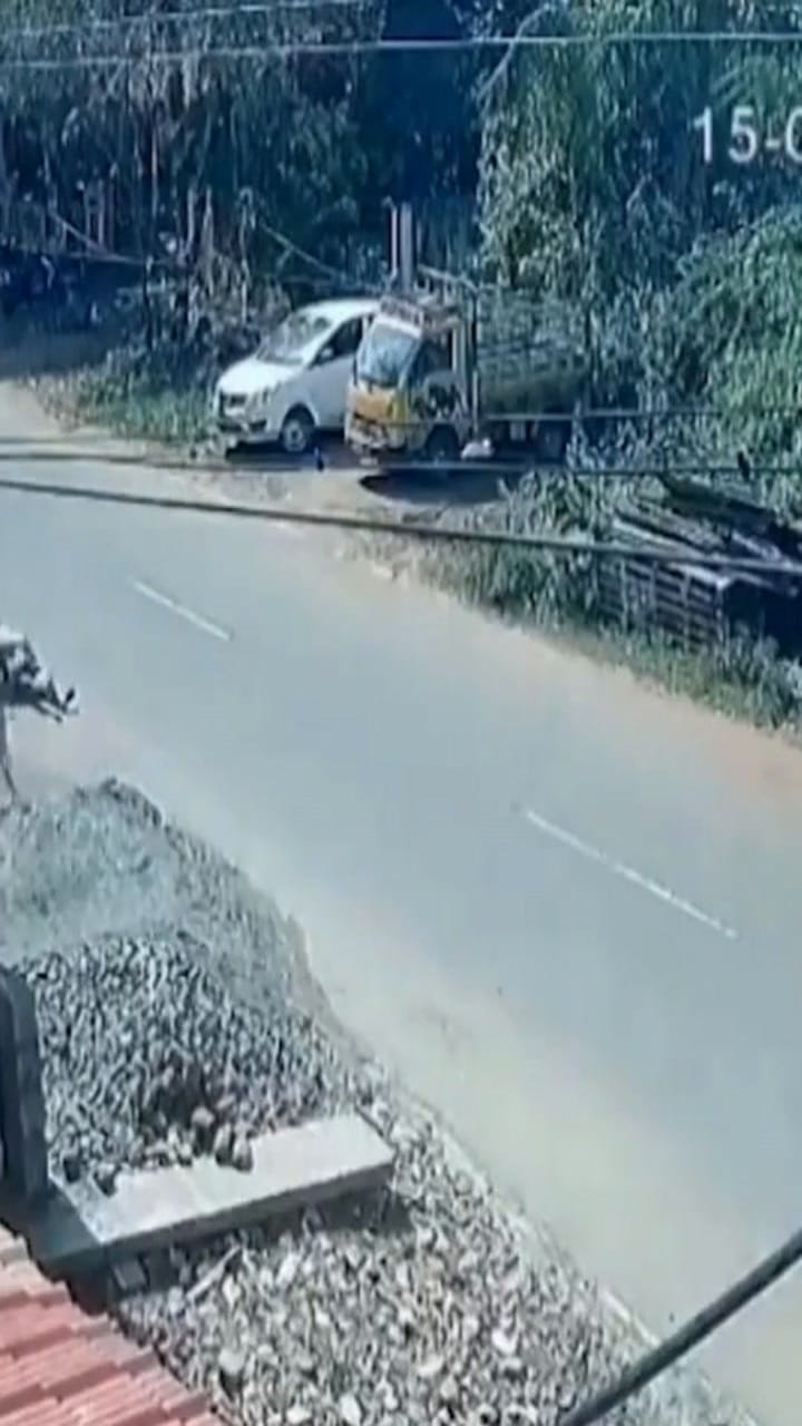 ജല്ലിക്കട്ട് കാള കാൽനടയാത്രക്കാരനെ ഇടിച്ചുതെറിപ്പിക്കുന്നു!