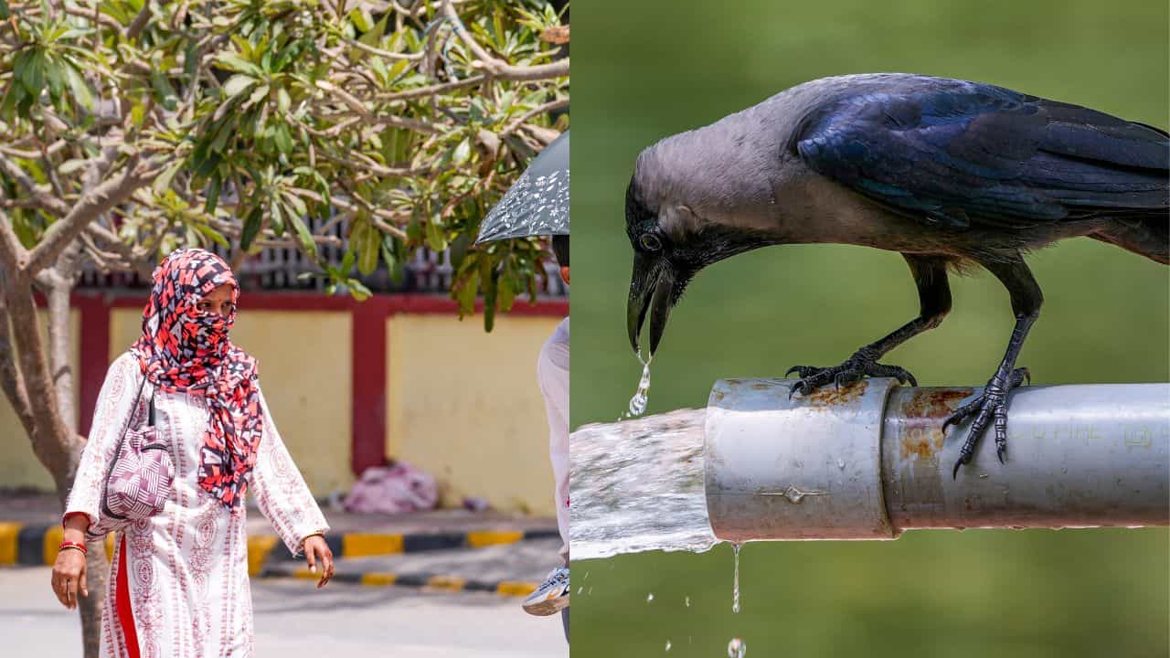 Kerala Weather Update: വേനൽ അടുത്തു... ചൂട് ഇനിയും കൂടും; വരും മണിക്കൂറുകളിൽ മഴയ്ക്ക് സാധ്യതയുണ്ടോ?