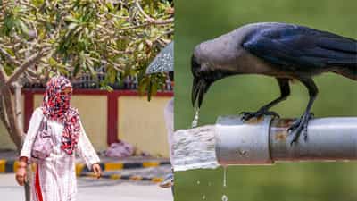 Kerala Weather Update: വേനൽ അടുത്തു... ചൂട് ഇനിയും കൂടും; വരും മണിക്കൂറുകളിൽ മഴയ്ക്ക് സാധ്യതയുണ്ടോ?
